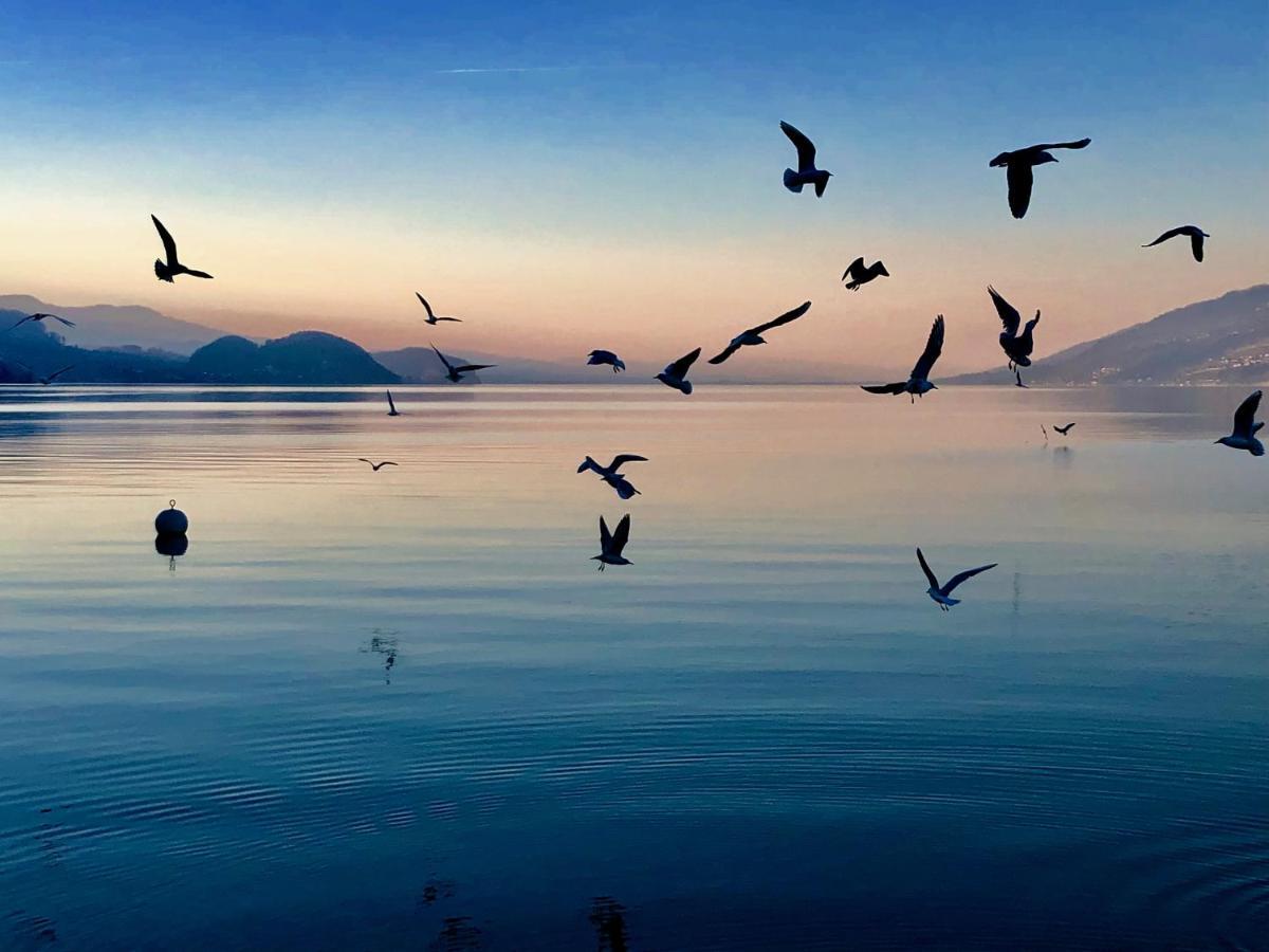 Privatzimmer Am Thunersee Apartment Leissigen Екстериор снимка