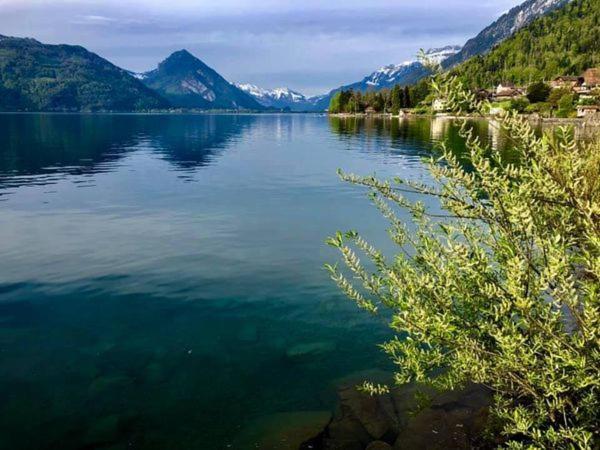 Privatzimmer Am Thunersee Apartment Leissigen Екстериор снимка